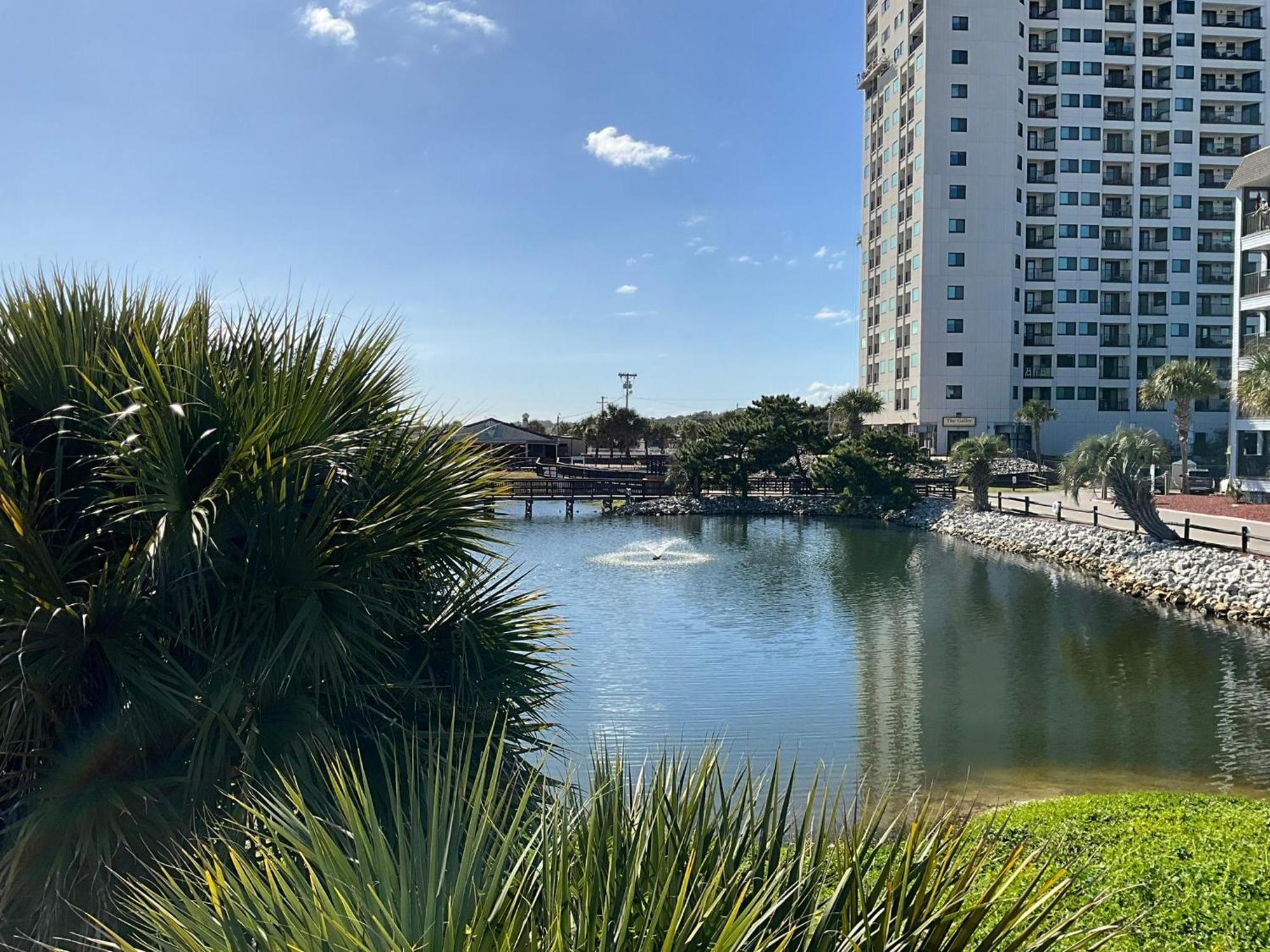 5905 S Kings Hwy, 4203 - Ocean Walk Sleeps 4 Vila Myrtle Beach Exterior foto